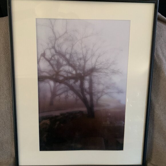 ARTABSTRACT PHOTOGRAPHY PRINT framed & matted WINTER FOG ON BERRY POND print